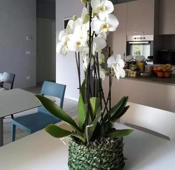 ペンション Le3stanze