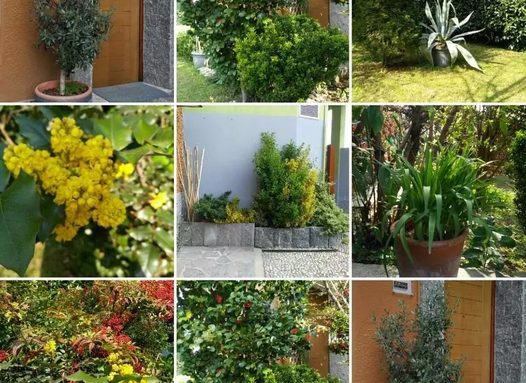 ペンション Le3stanze