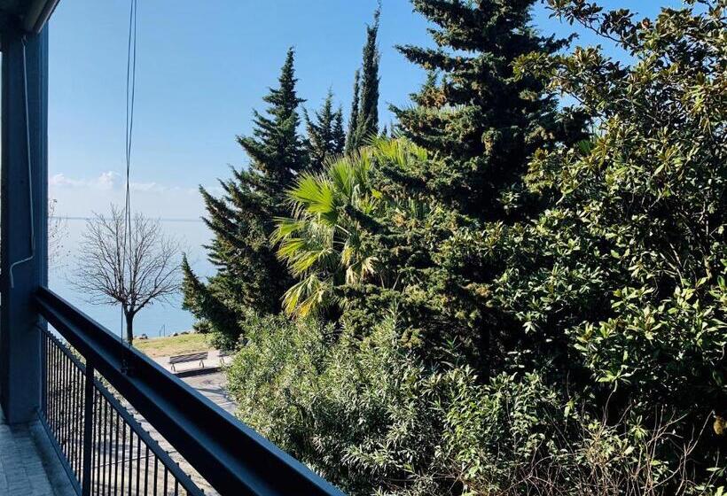 Front Lake Apartment Bardolino