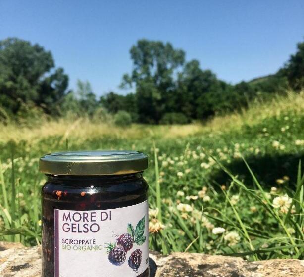 ホテル Agriturismo La Sorgente