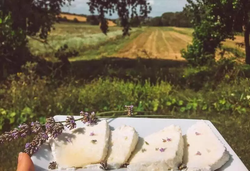 ホテル Agriturismo La Sorgente