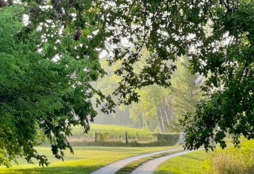 ホテル Agriturismo La Sorgente