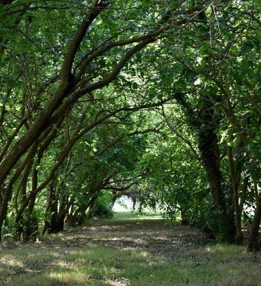 ホテル Agriturismo La Sorgente