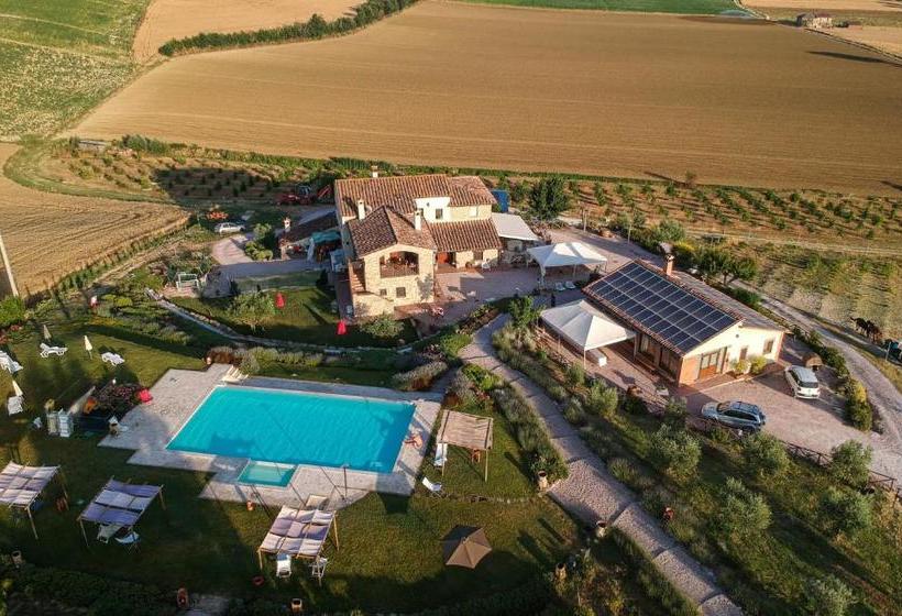 호텔 Agriturismo San Silvestro