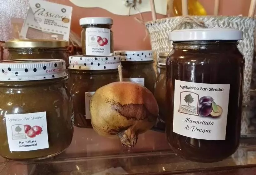 ホテル Agriturismo San Silvestro