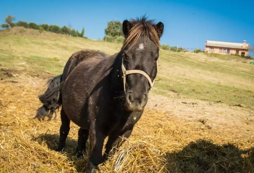 ホテル Agriturismo San Silvestro