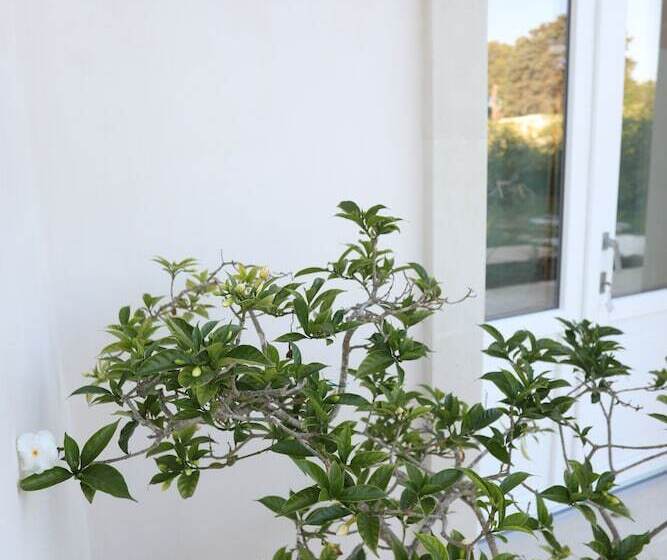 Szálloda Podere 43 Charme B&b