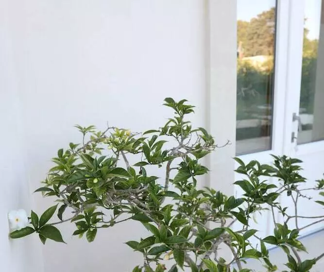 ホテル Podere 43 Charme B&b