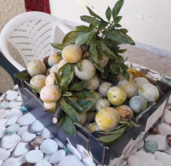 La Palma Residence Torre San Giovanni