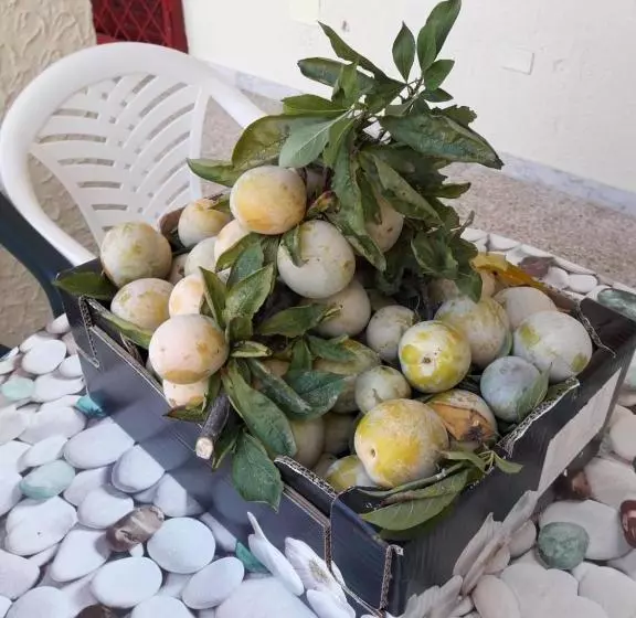 La Palma Residence Torre San Giovanni