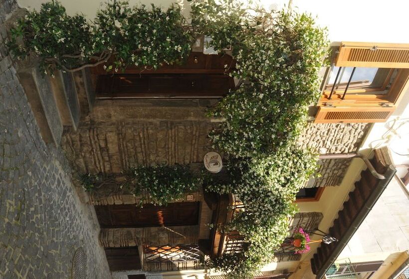 Pensjonat Atlantis Inn Castelgandolfo