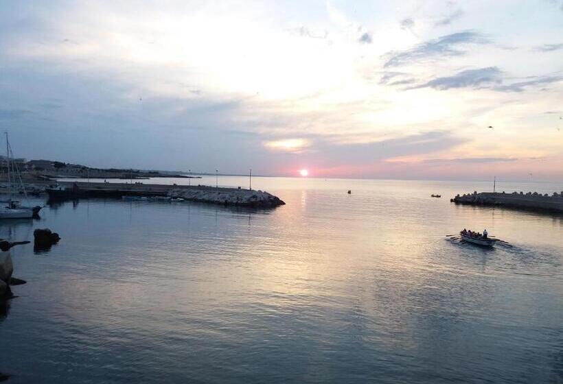 פנסיון Il Da Vinci Casa Vacanze