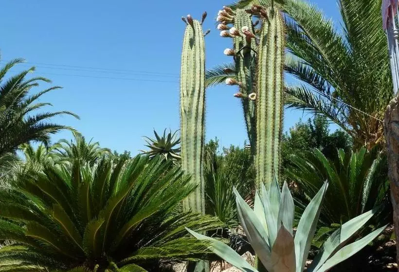 Residence Cala Dei Peducelli