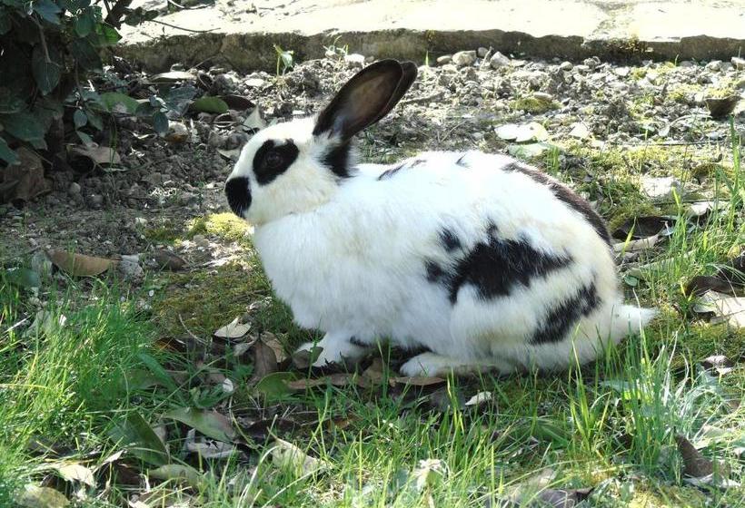 Отель Agriturismo Poponi