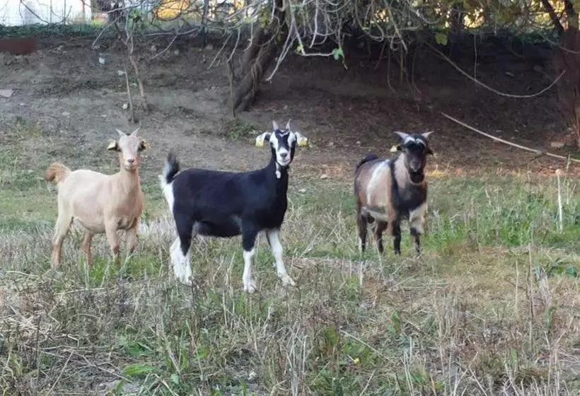 هتل Agriturismo Poponi
