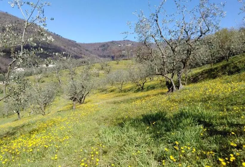 هتل Agriturismo Terrarossa