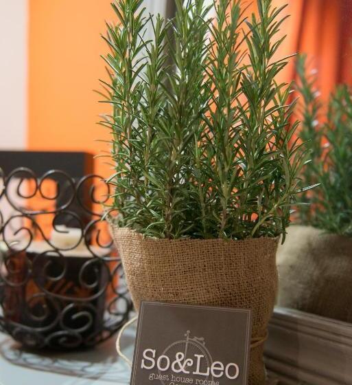 Pensjonat So&leo Guest House