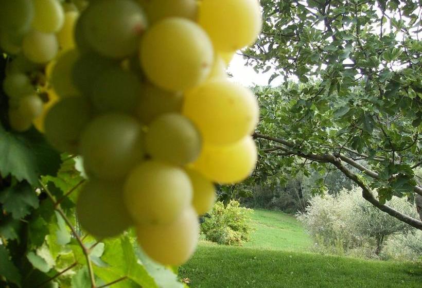 בית מלון כפרי Agriturismo Casa Garello
