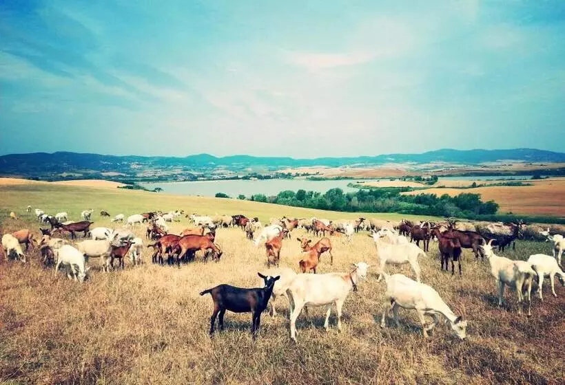 ホテル Agriturismo L Impero
