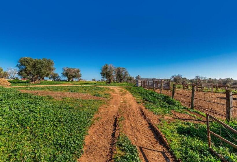 هتل Agriturismo Masseria Carrone