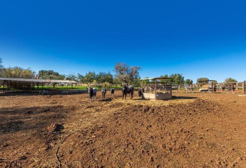 هتل Agriturismo Masseria Carrone