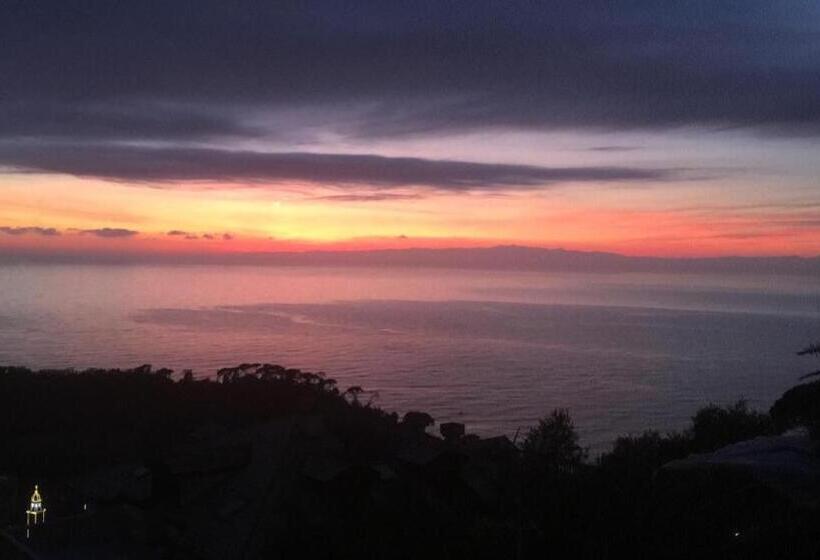 膳宿费 B&b Villa Orchidea