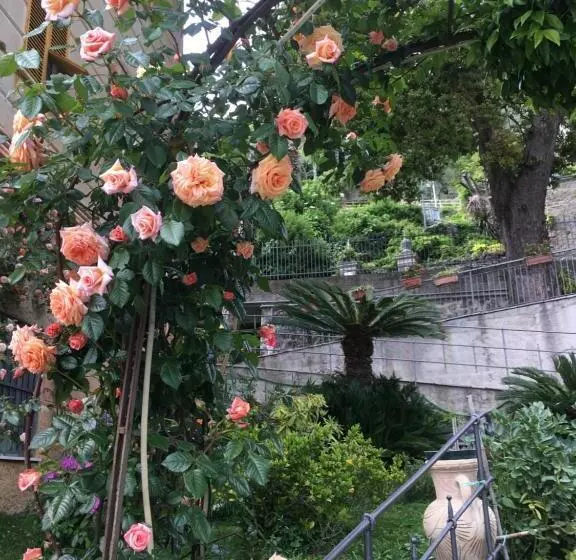 ペンション B&b Villa Orchidea