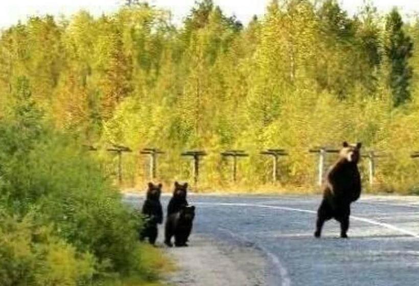 ホテル Agriturismo Miralago