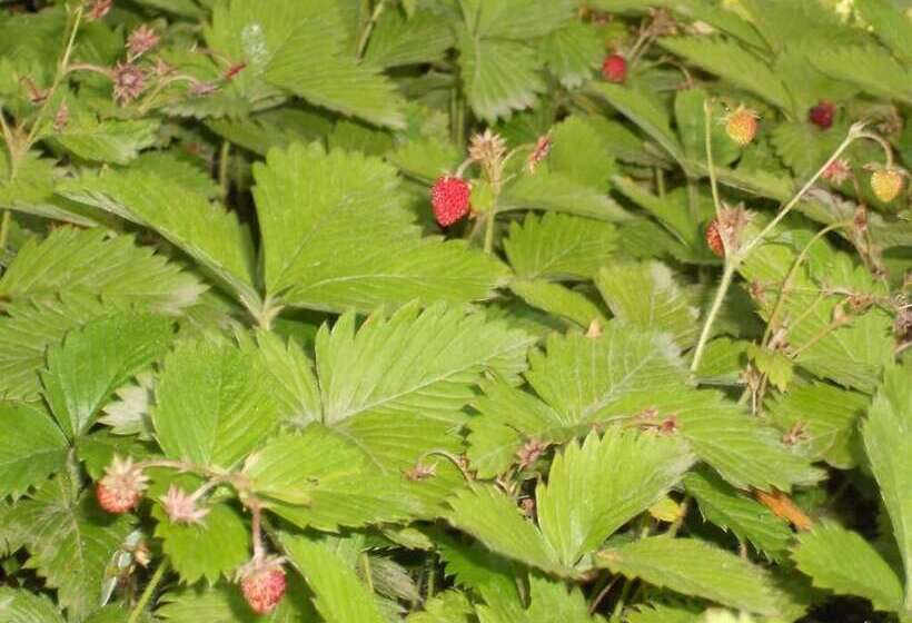 膳宿费 L Infinito Agriturismo   Rooms & Breakfast