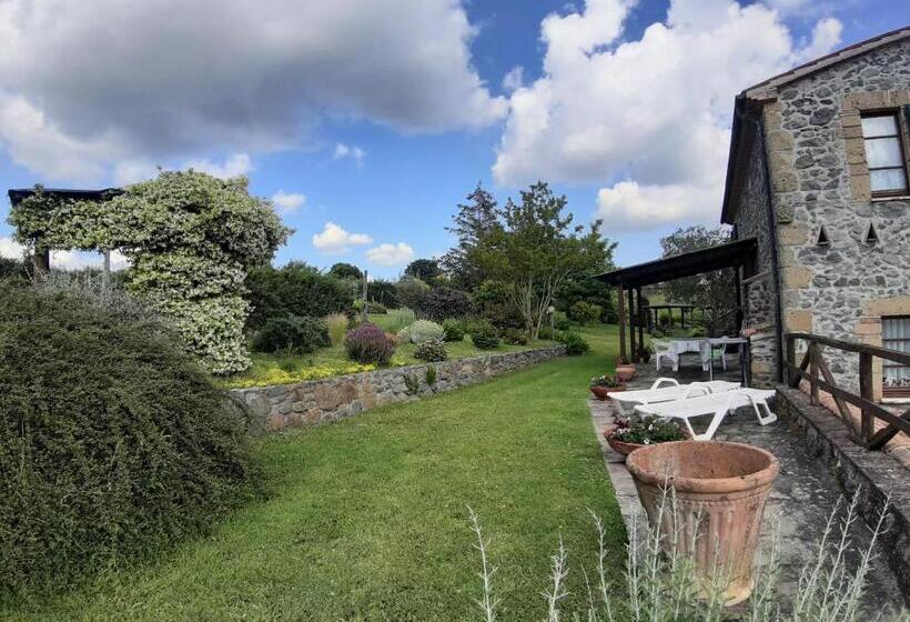 فندق Agriturismo Cantinaccia Di Sopra