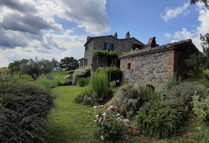 فندق Agriturismo Cantinaccia Di Sopra