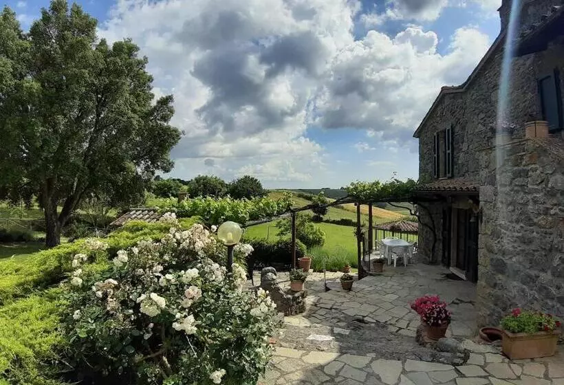 ホテル Agriturismo Cantinaccia Di Sopra