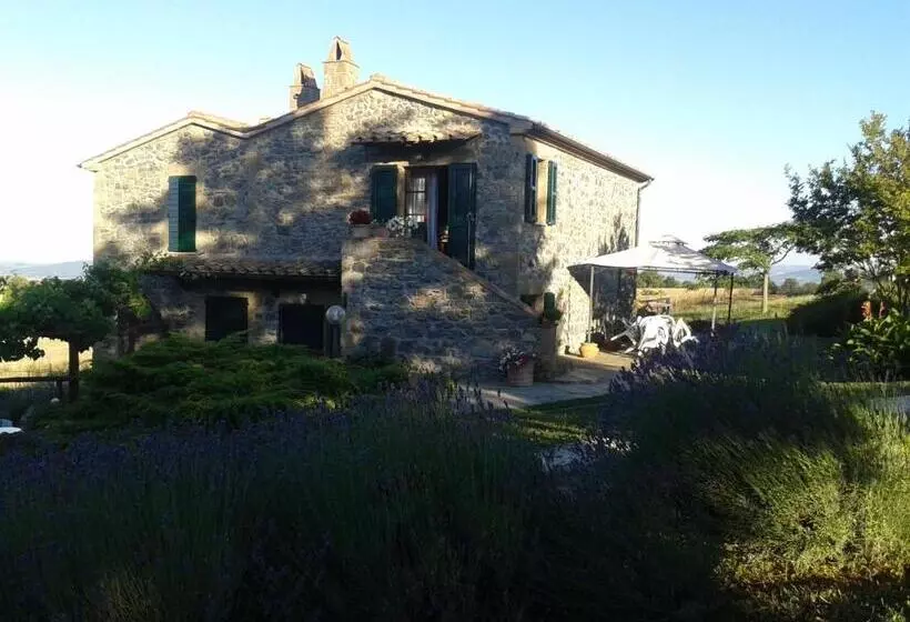 ホテル Agriturismo Cantinaccia Di Sopra
