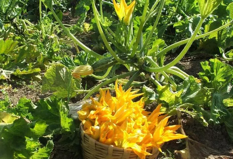 Hotelli Agriturismo I Moresani