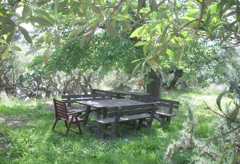 Отель Agriturismo I Moresani