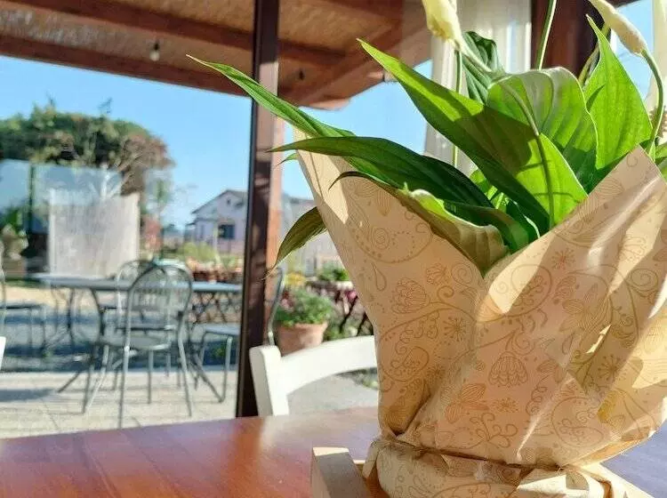 هتل Agriturismo Il Laghetto
