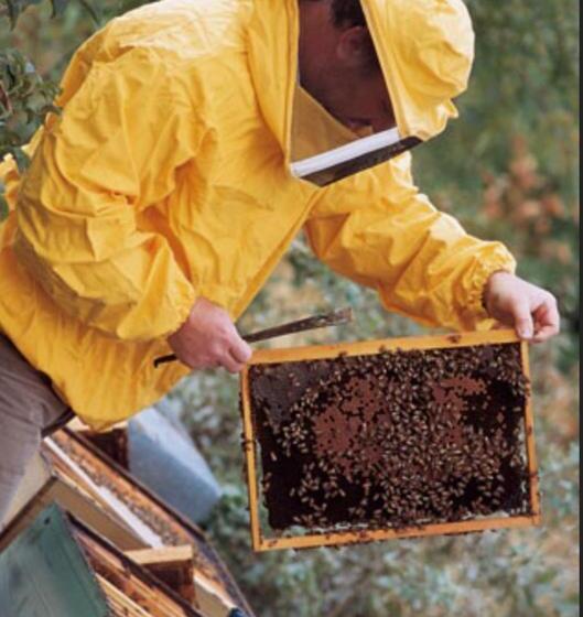 בית מלון כפרי Agriresidence L Antica Fattoria Sul Lago