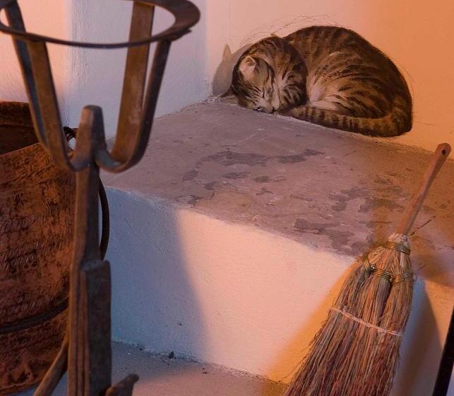 Отель Agriturismo Pian Del Tevere