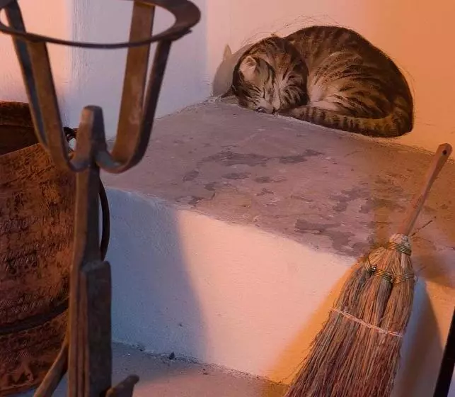 ホテル Agriturismo Pian Del Tevere