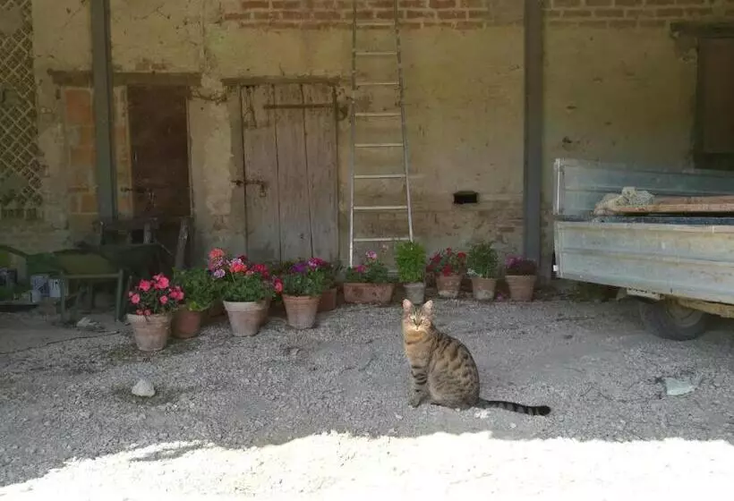 ホテル Agriturismo Pian Del Tevere