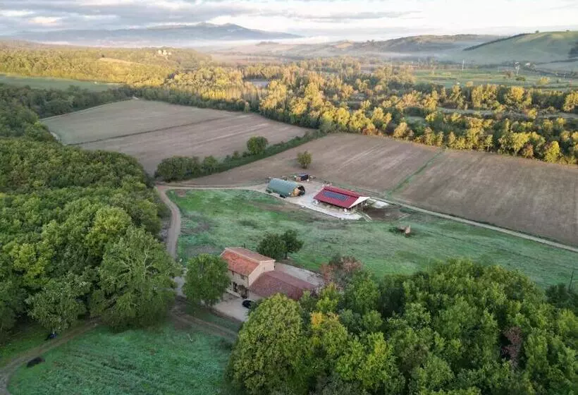ホテル Bioagriturismo Il Cerreto