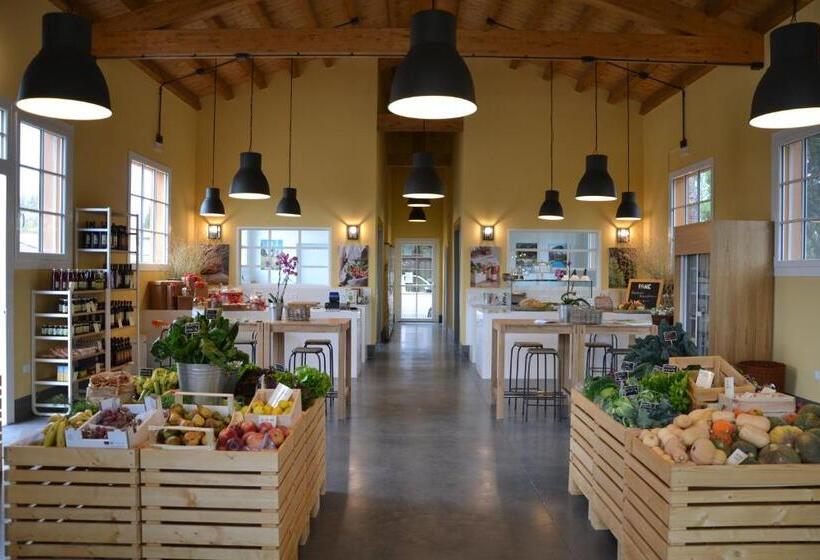 Отель Bioagriturismo Il Cerreto