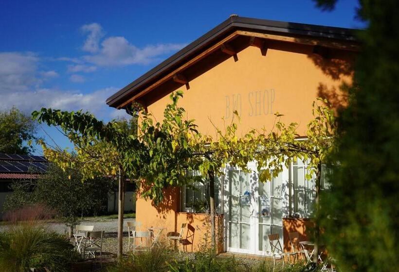 Отель Bioagriturismo Il Cerreto