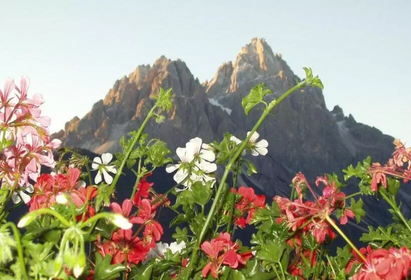 هتل Galler Am Berg