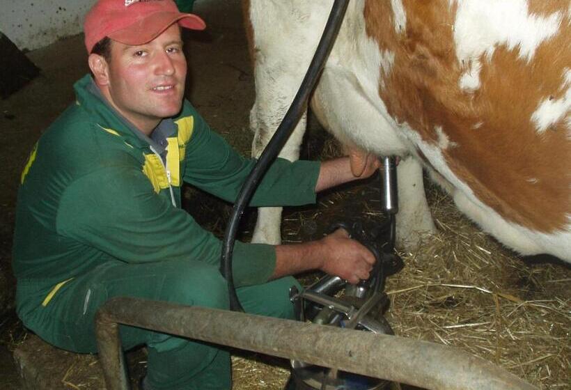 فندق Galler Am Berg