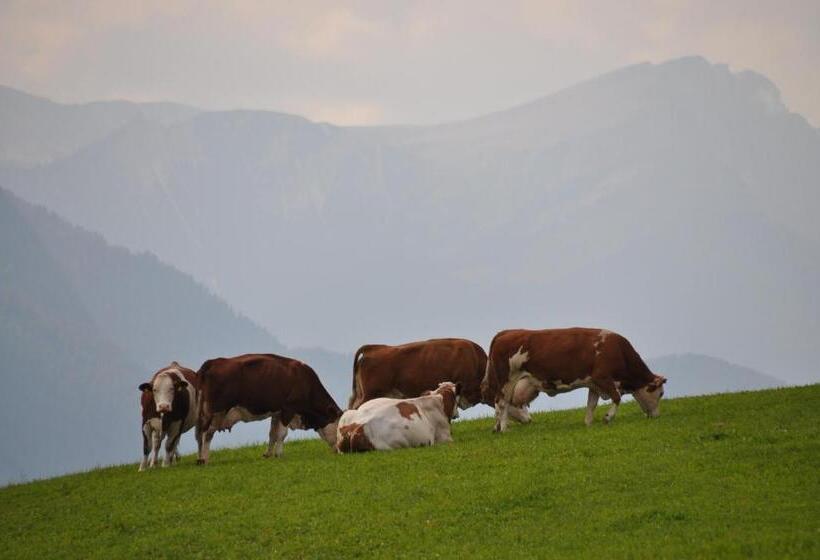 فندق Galler Am Berg