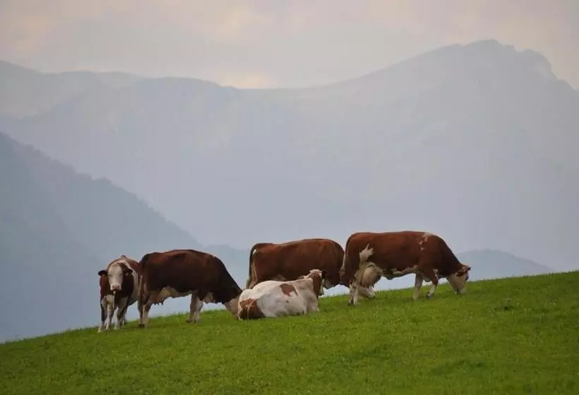 هتل Galler Am Berg