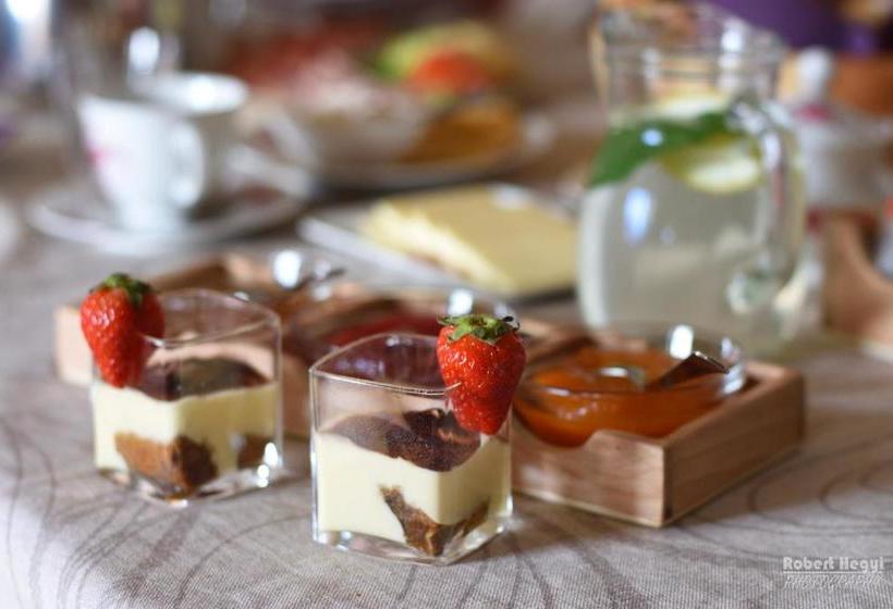 فندق Galler Am Berg