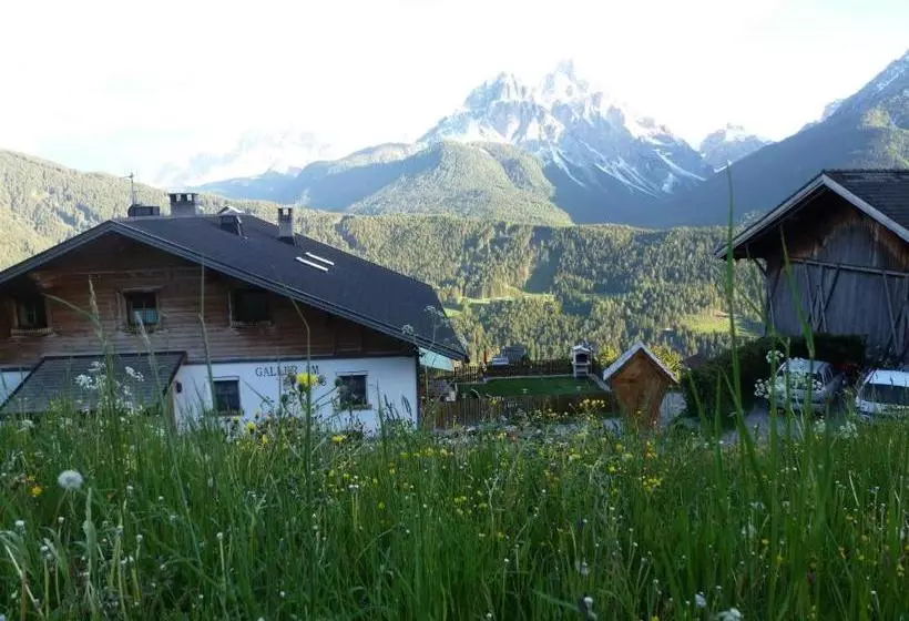 هتل Galler Am Berg