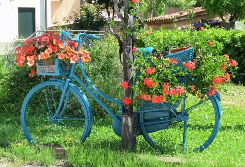 Hotelli Agriturismo Ca' Marcello